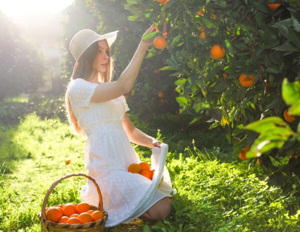 Forever Aloe Vera Gel